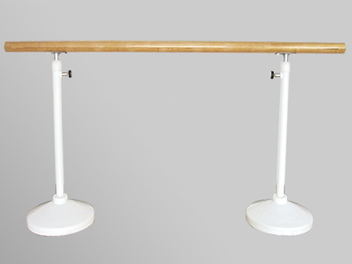 J011 Mobile Dance Pole