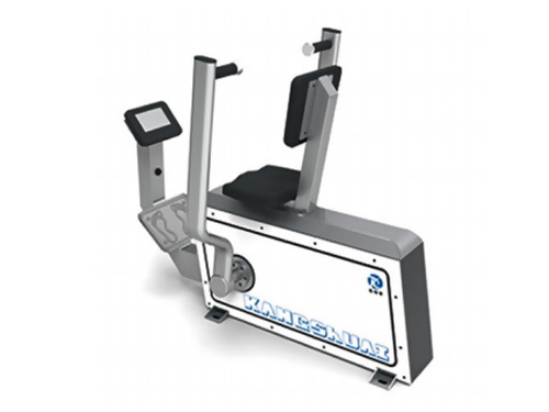 ALLX06 Intelligent Self-Generating Chest Pushing Rowing Trainer
